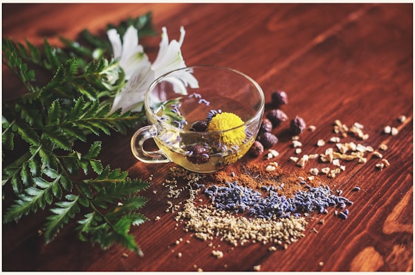 Functional Food & Wellness Herbal Nutrition